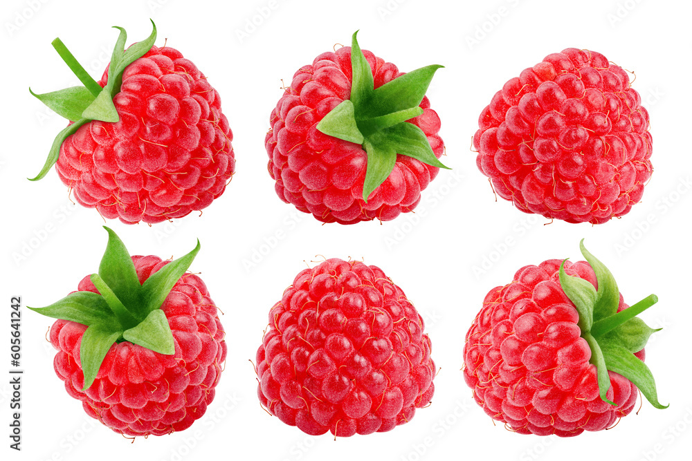 Wall mural raspberry isolated on white background, full depth of field
