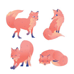 Set of fox in different positions - great for coloring book page