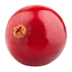 cranberry isolated on white background, full depth of field