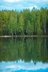 Fototapeta na wymiar Pond in the forest. Reflection of the forest in the water
