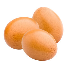 chicken egg, isolated on white background, full depth of field