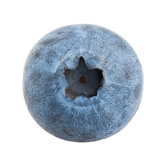blueberry, isolated on white background, full depth of field