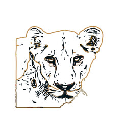 Simba color sketch with transparent background