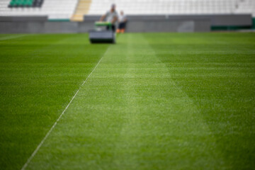 Green grass soccer field