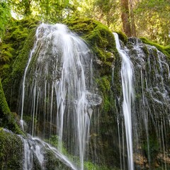 Fototapeta premium Waterfall in a forest covered in greenery under the sunlight