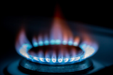 Natural gas used in homes and industr