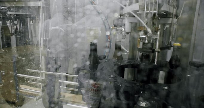 Bottles of brown beer in a factory moving along the conveyor belt. Beer bottles are filled with automatic beer. Modern technology in a factory. Factory, beer concept.