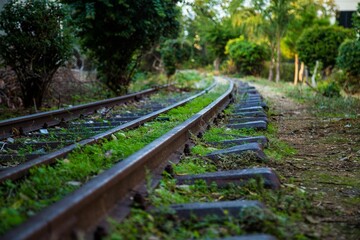 Closeup shot of train tracks going through a lush green park
