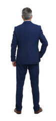 Mature businessman in stylish clothes posing on white background, back view