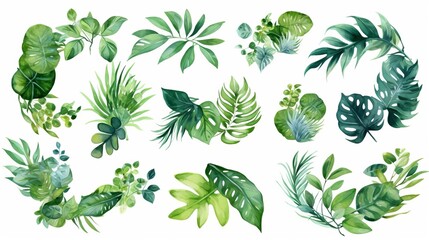 Watercolor painting tropical leaf illustration collection set - many different leaves, isolated on white background (Generative Ai)