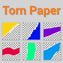 Vector illustration of a printout torn paper template design