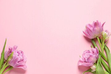 Fototapeta na wymiar Beautiful colorful tulip flowers on pink background, top view. Space for text