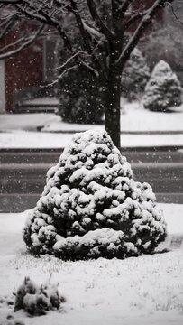 Vertical of a beautiful tree during winter in Markham, Ontario, Canada