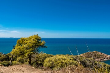 Obraz premium Green vegetation on a mountaintop on the coast of Korbous, Tunisia