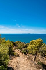 Vertical shot of green vegetation on a clifftop on the coast of Korbous, Tunisia