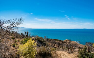 Beautiful seascape captured from a forested clifftop on the coast of Korbous, Tunisia