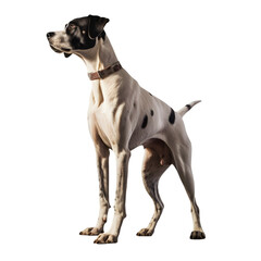 Dog standing pose made with generative AI - transparant background - png