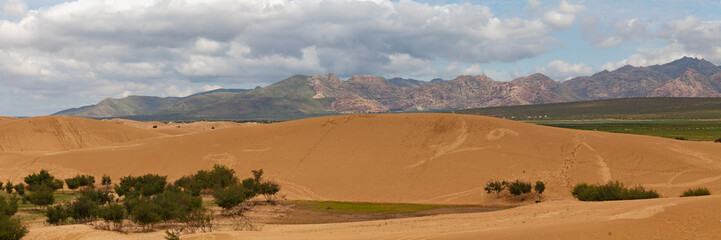 Fototapeta na wymiar Sand dune in Elsen Tasarkhai