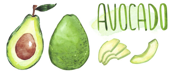 Watercolor Avocado Clipart Set, Hand painted Clip Art