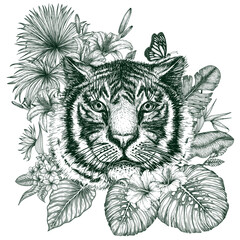 Vector illustration of a tiger in a tropical garden in an engraving style. Palm and banana leaves, liviston, plumeria, monstera, strelitzia, hibiscus