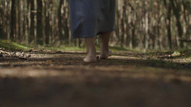 female barefoot legs walking on wooden footpath in summer forest pine trees trunk. bare feet woman step on needles and pine cones in woodland. long blue dress young woman legs in nature