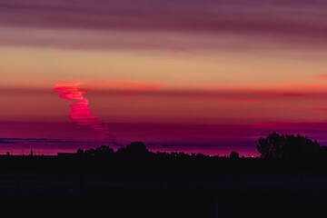 Fototapeta na wymiar Silhouette of trees during sunset