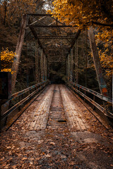 Beautiful vertical shot of an iron bridge in the forest at fall