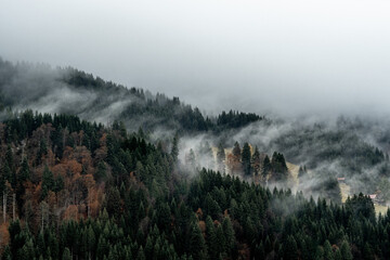 Aerial view of misty clouds floating over a forest in the Austrian Alps - obrazy, fototapety, plakaty