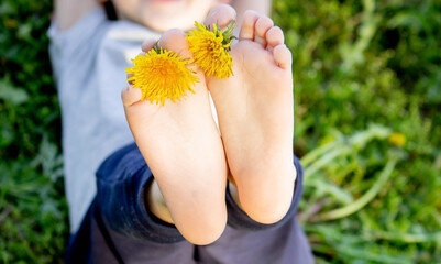 Dandelion baby legs, spring sunny weather.