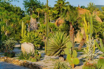 An oasis in the park. Vinperl Island near Nha Trang in Vietnam. 