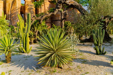 An oasis in the park. Vinperl Island near Nha Trang in Vietnam. 