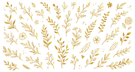 Gold branch leaf element set. Hand drawn sketch doodle golden leaves floral element for wedding background, elegant design. Vector illustration. © Polina Tomtosova
