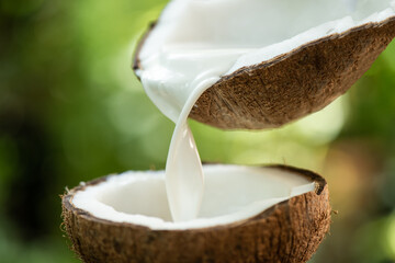 Coconut haft fruit and coconut milk on nature background.