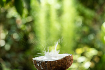 Coconut haft fruit and coconut milk on nature background.