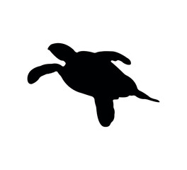 Turtle silhouette on white background