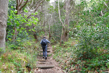 Fototapeta premium Randonneurs sur le GR34 en Bretagne - France