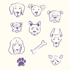 Fototapeta premium A set of portraits of dogs bulldog, Doberman, husky, shepherd