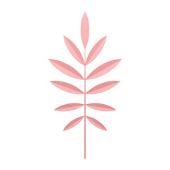 Fern pink tropical tree branch elegant herbal decor element 3d icon realistic vector illustration