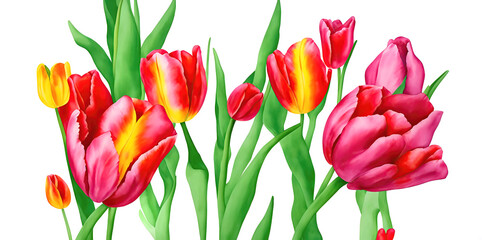 Obraz premium Flower arrangement with beautiful tulips on a white background. Generative AI
