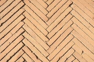 The floor is made of small clay tiles as a background.