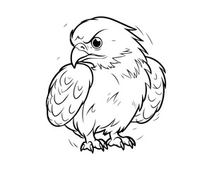 Eagle Coloring Book Cartoon Ilustration