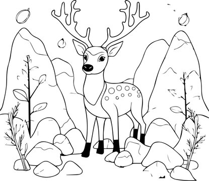 Deer Coloring Book Cartoon Ilustration