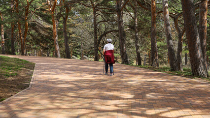 elderly woman Nordic walking in the park. Sport and active life concept