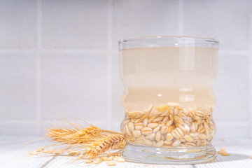 Simple barley orzo infused water drink in glass, with raw and cooked barley seeds