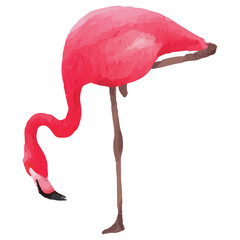 Pink flamingo Tropical Clip art Element Transparent Background