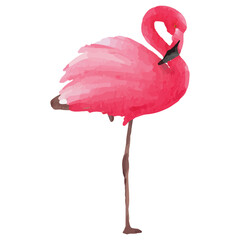 Pink flamingo Tropical Clip art Element Transparent Background - obrazy, fototapety, plakaty