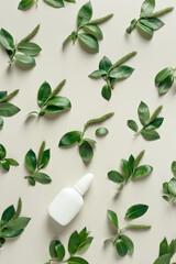 Seasonal allergy concept, spring young branches tree with new green leaves and catkins and white nasal spray on beige background, minimal creative top view, aesthetic flat lay. Healthy lifestyle