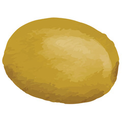 Kiwi Yellow Fruits Clip art Element Transparent Background