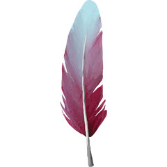 Feather Clip art Element Transparent Background