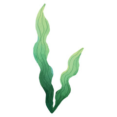 Seaweed Under The Sea Clip art Element Transparent Background